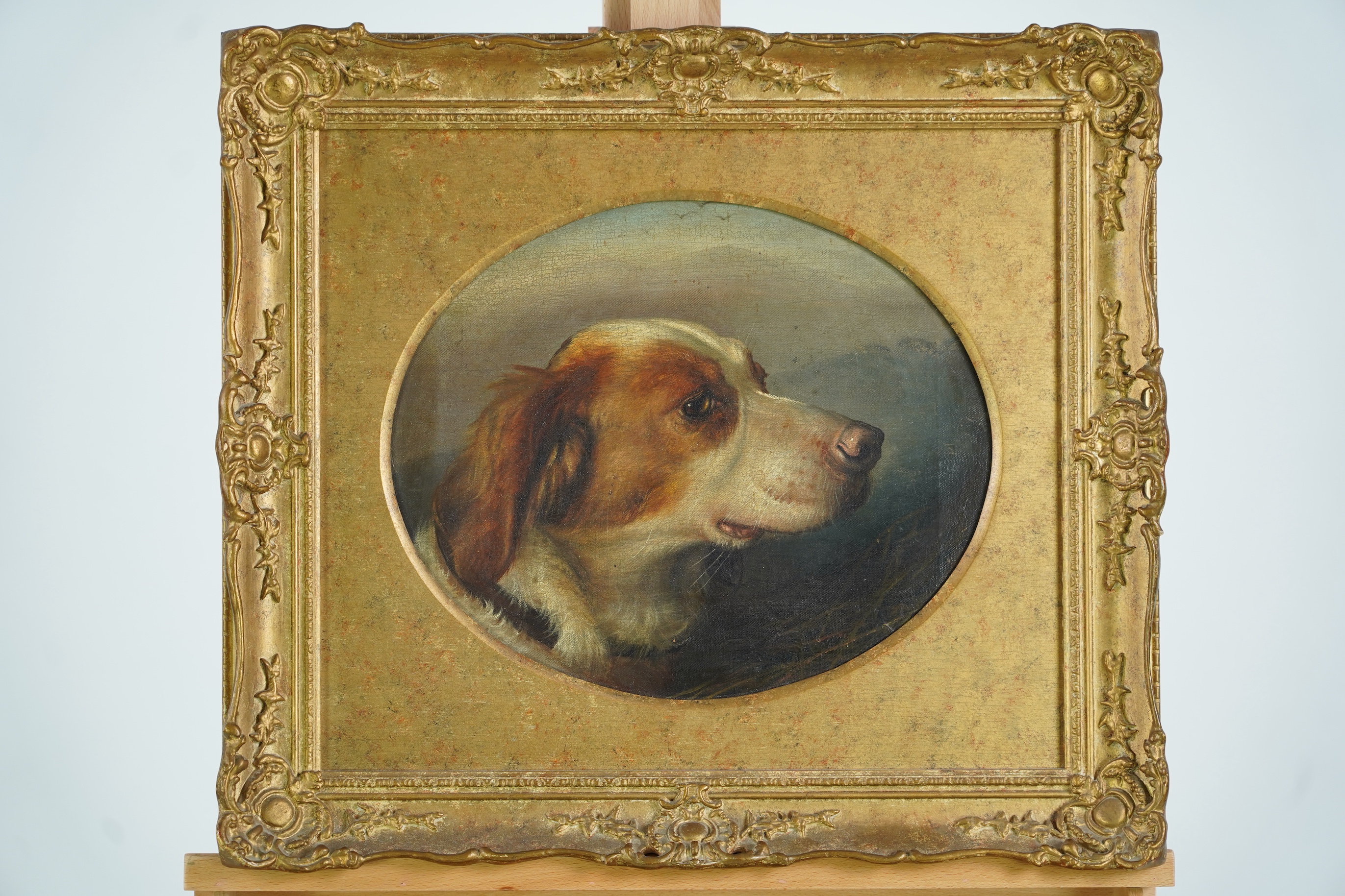 Manner of George Earl, 1824-1908, A head study of a dog